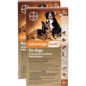 Advantage Multi Topical Solution for Dogs, 88.1-110 lbs