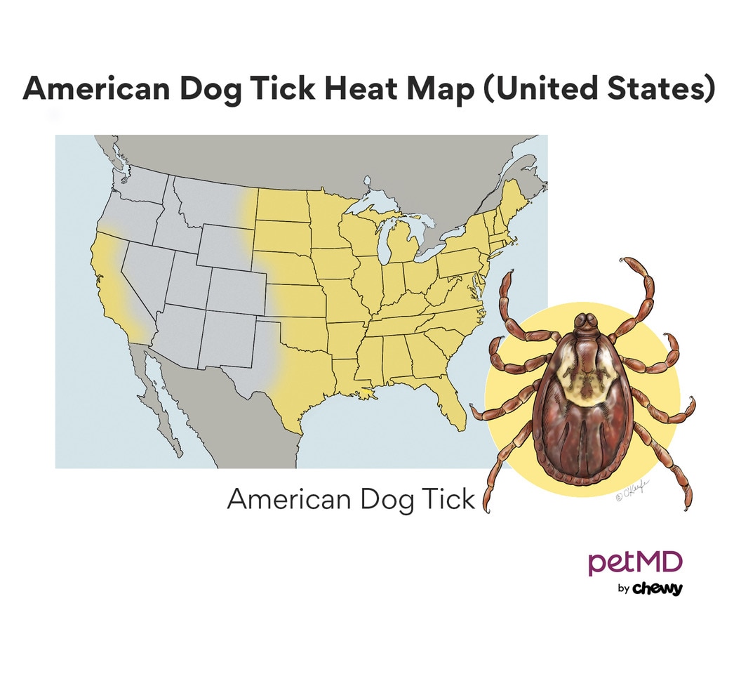 do ticks make dogs vomit