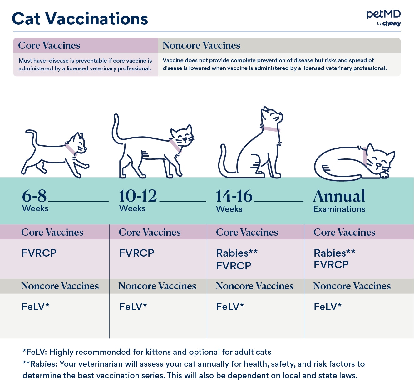 Cat & Kitten Vaccinations Advice & Schedule