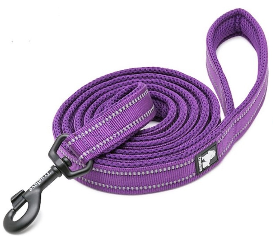product image of a purple dog leash