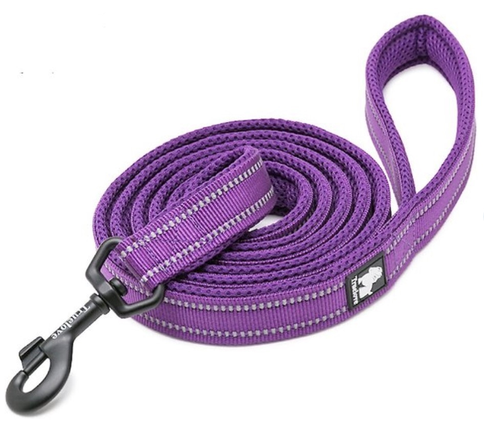 https://image.petmd.com/files/inline-images/Chai%27s-Choice-dog-leash.jpg?VersionId=LhcCm4I5TqkAAjF46Z5q.KuR2mgjpG0q