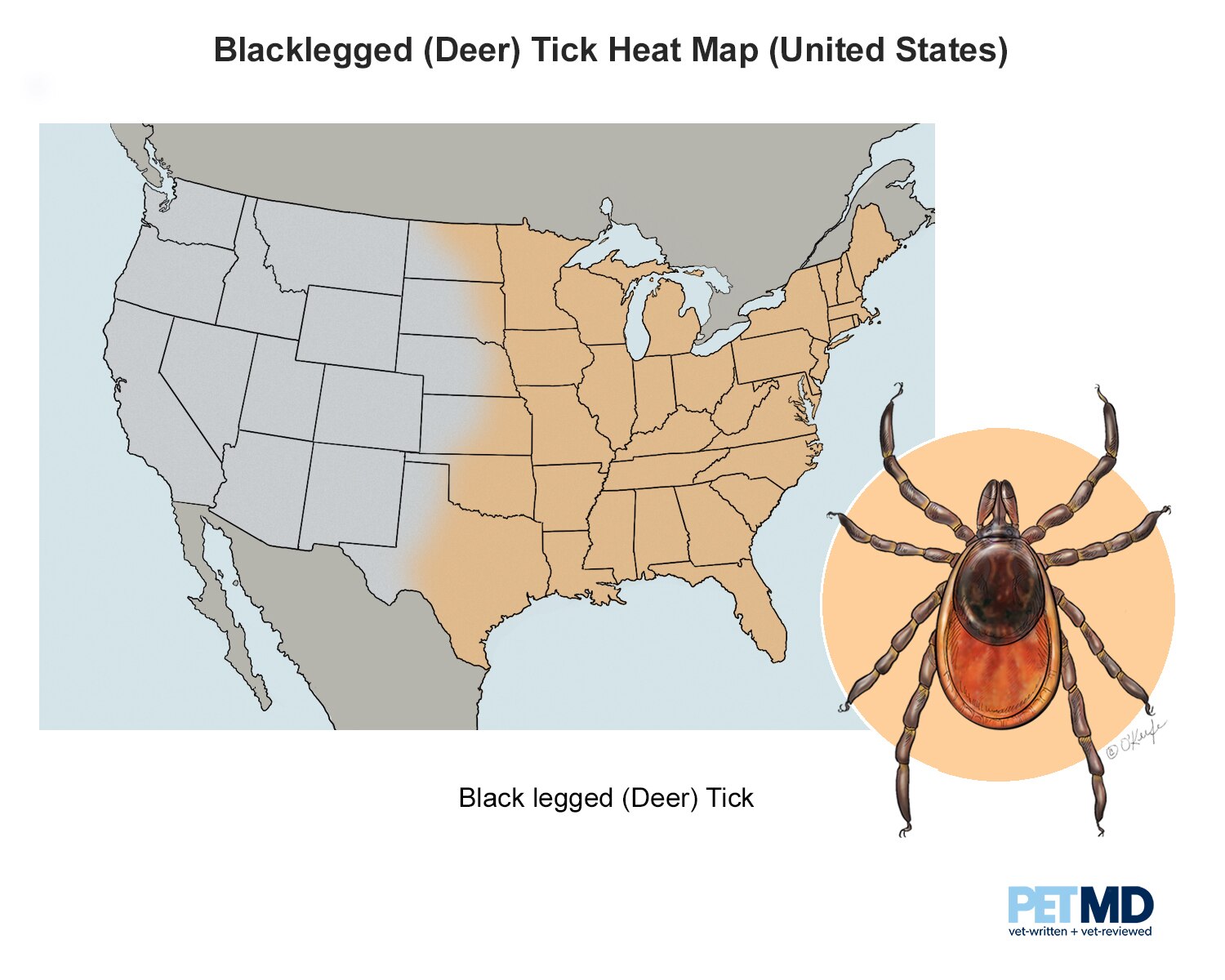 is tick prevention necessary for dogs