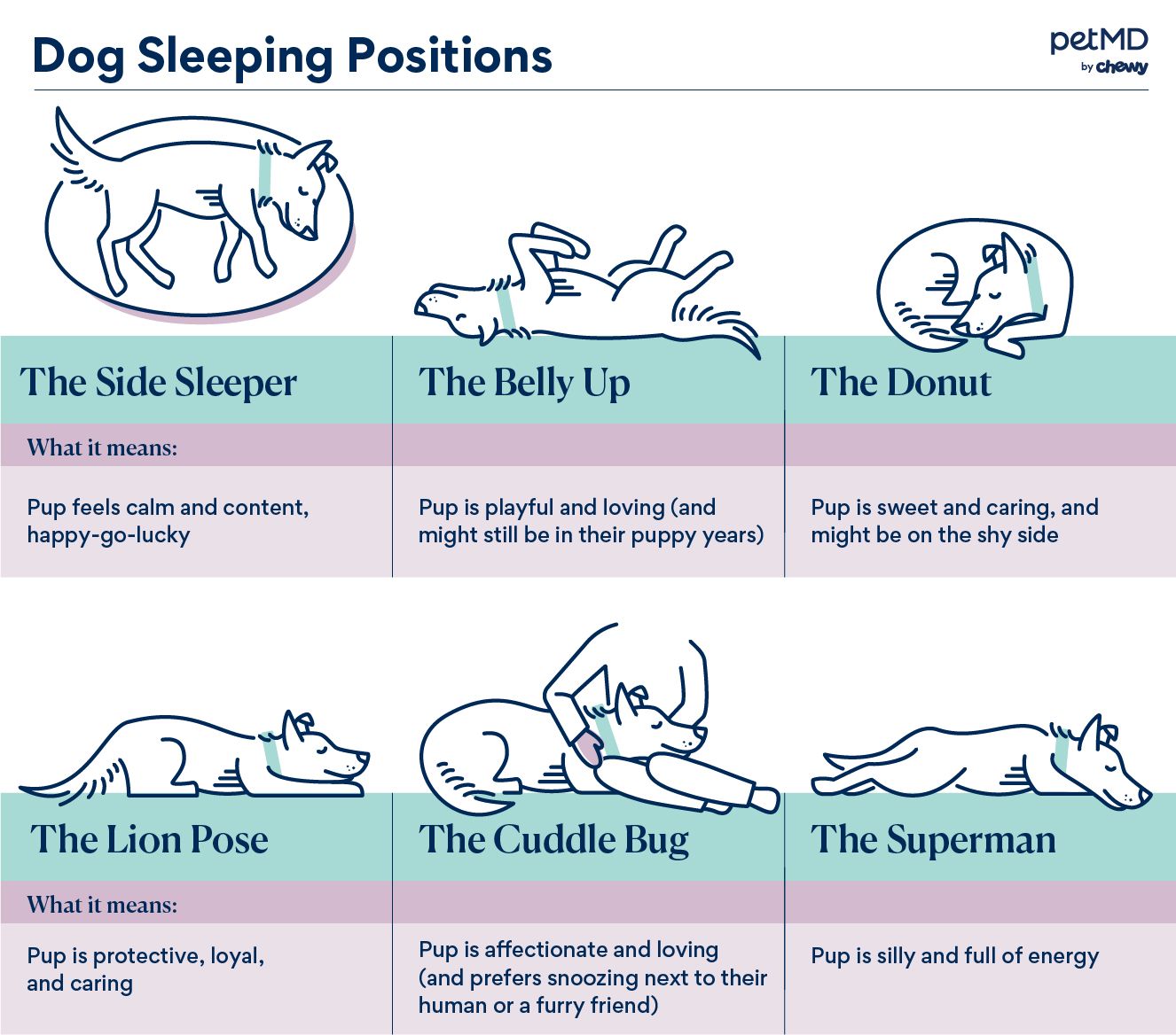 IV. How to Create a Comfortable Sleep Environment for Your Dog