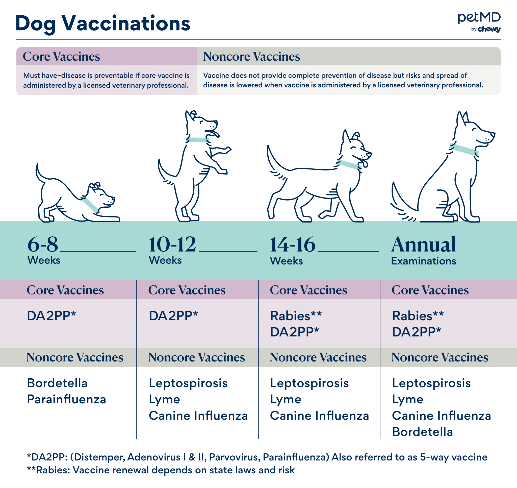 dog vaccination schedule