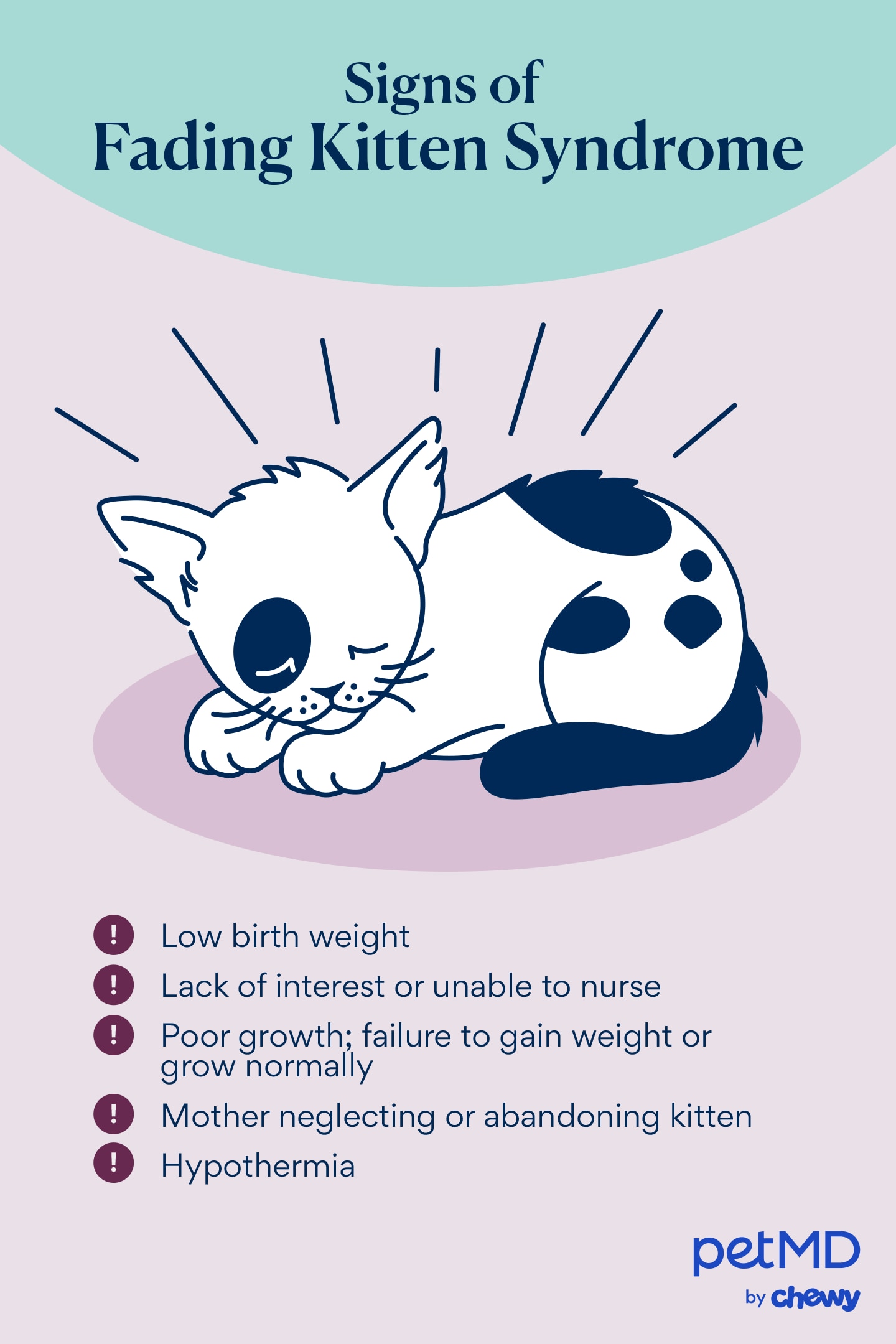 signs of fading kitten syndrome