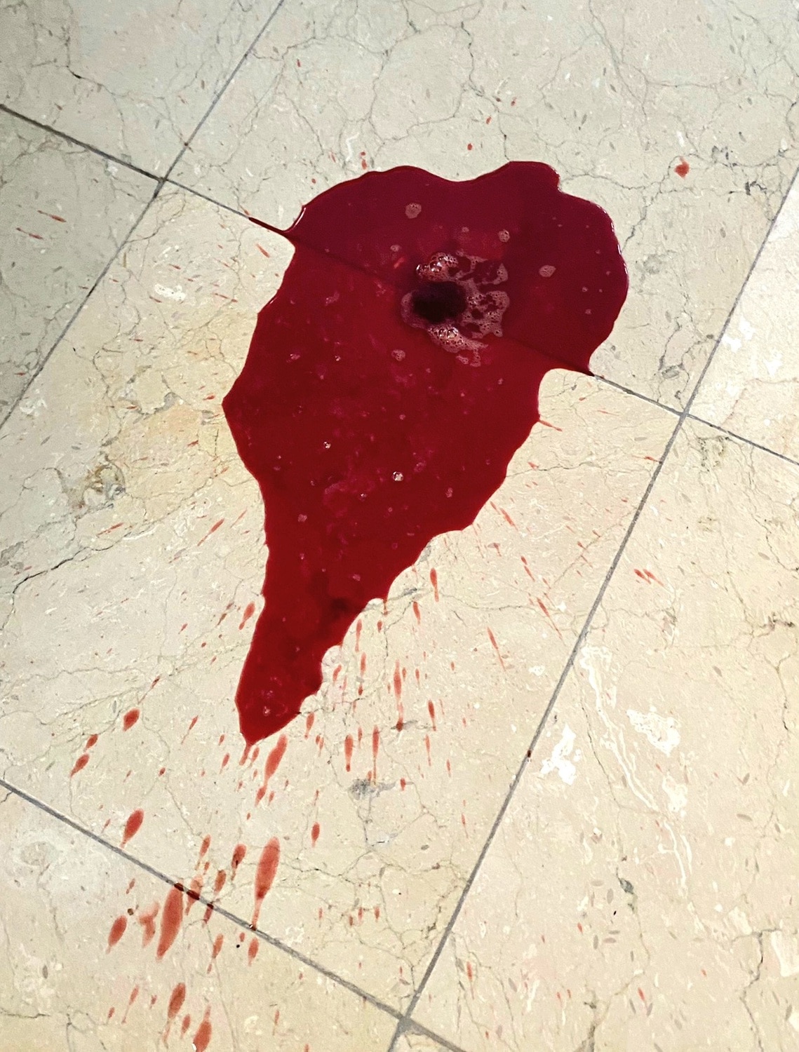 tile floor with pool of pure blood from dog poop
