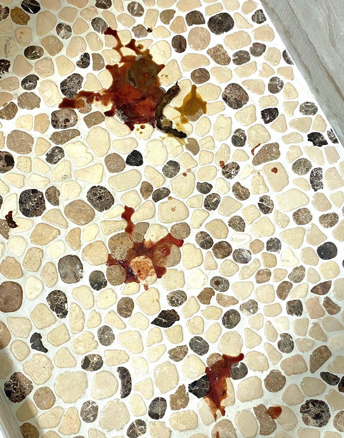bathroom floor covered in dog poop with blood
