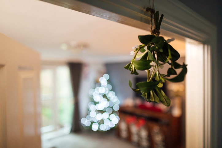 mistletoe plant hanging in doorwat