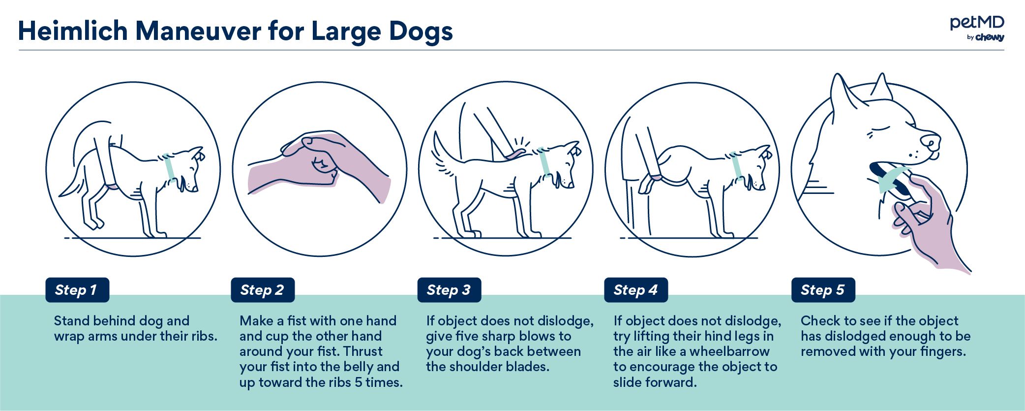 how to perform the heimlich maneuver for large dogs