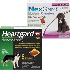 HeartGard Plus Chew for Dogs 26-50 lbs.