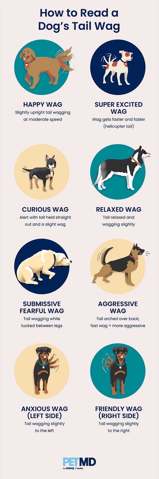 Why Do Dogs Wag Their Tails? | PetMD