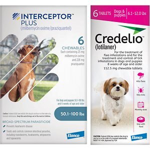Interceptor© Plus Chew for Dogs, 50.1-100 lbs.  