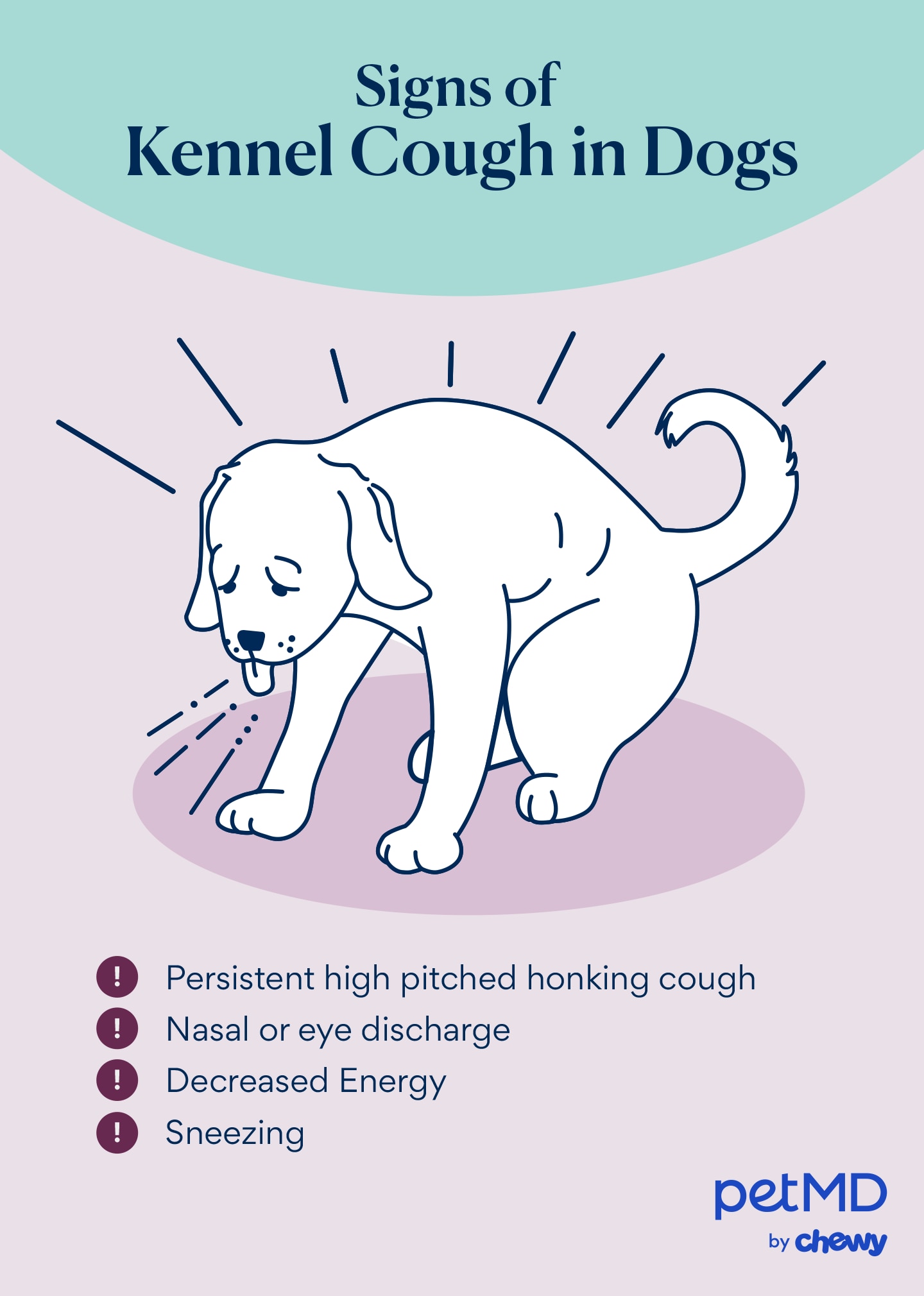 signs of kennel cough in dogs