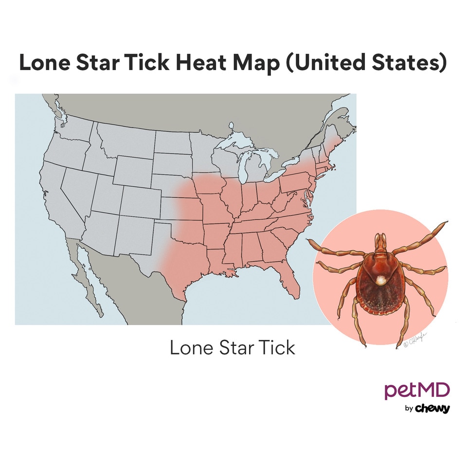 are certain dogs more prone to ticks