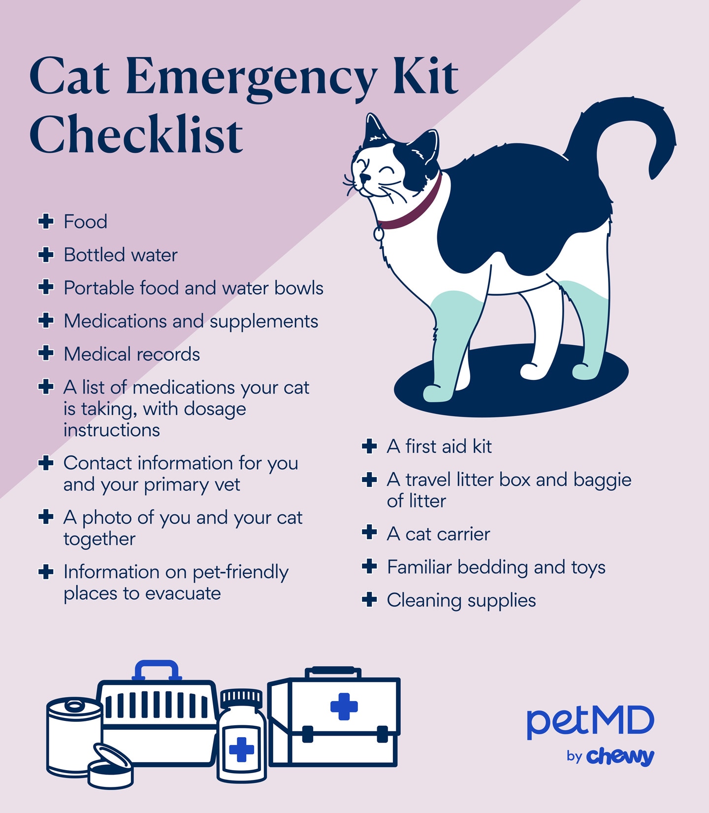 infographic of what to pack in a cat emergency kit