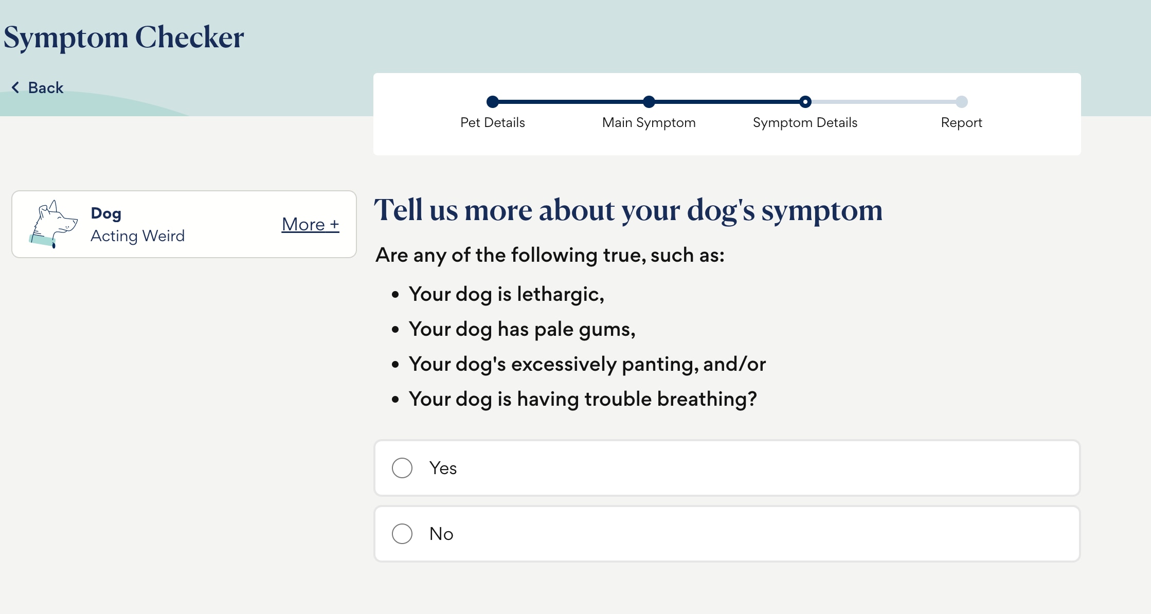 photo of petmd symptom checker tool