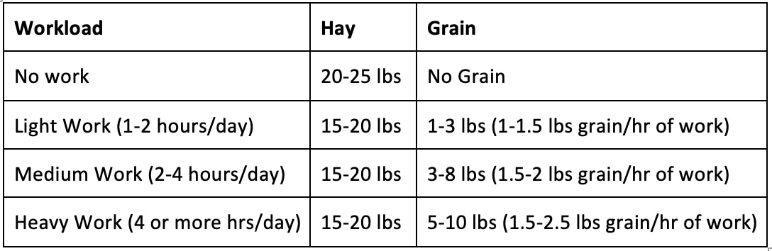 Horse Feeding Chart