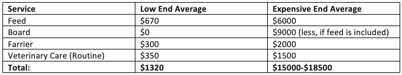 Horse Yearly Care Expenses