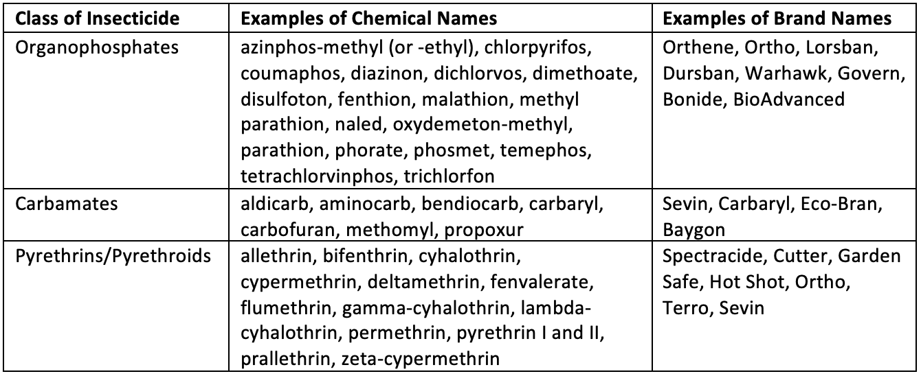 is chlorpyrifos harmful to dogs