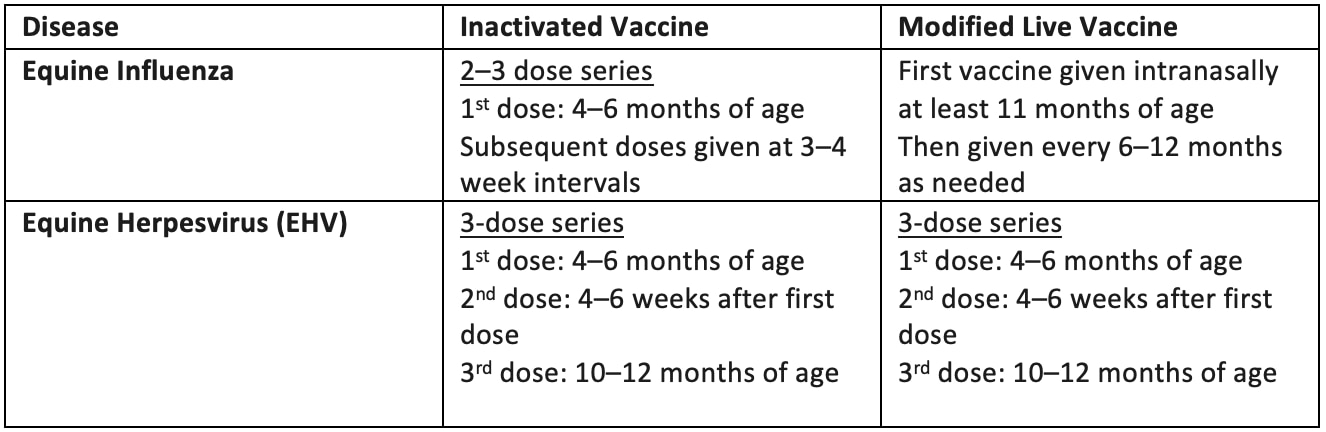 More Foal Vaccines