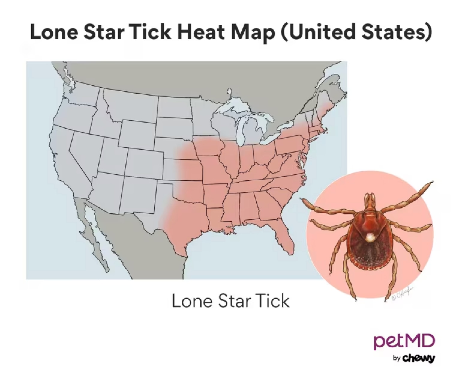 A tmap of where the Lone Star tick lives.