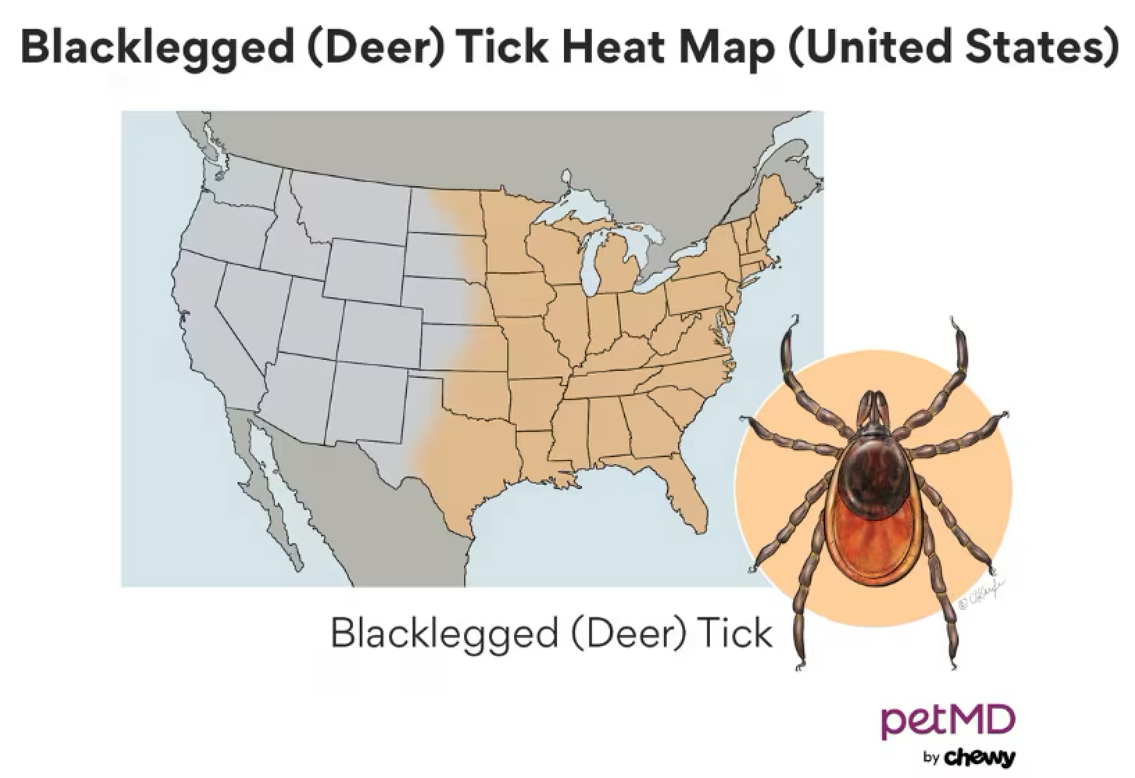 Deer Tick heat map.