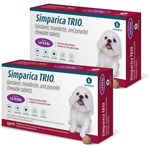 The Best Heartworm Medications For Dogs PetMD PetMD   Simparica.5.6 11 