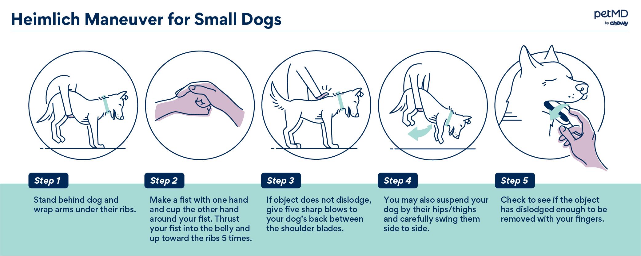how to perform the heimlich maneuver for small dogs