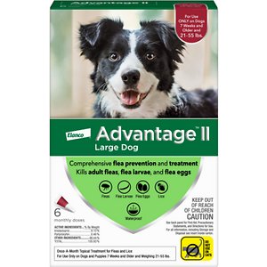 Advantage II Flea Spot Treatment for Dogs, 21-55 lbs