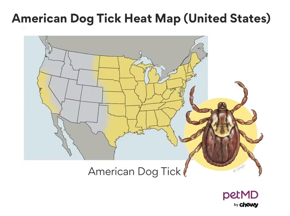 map of the united states highlighting where the wood tick lives