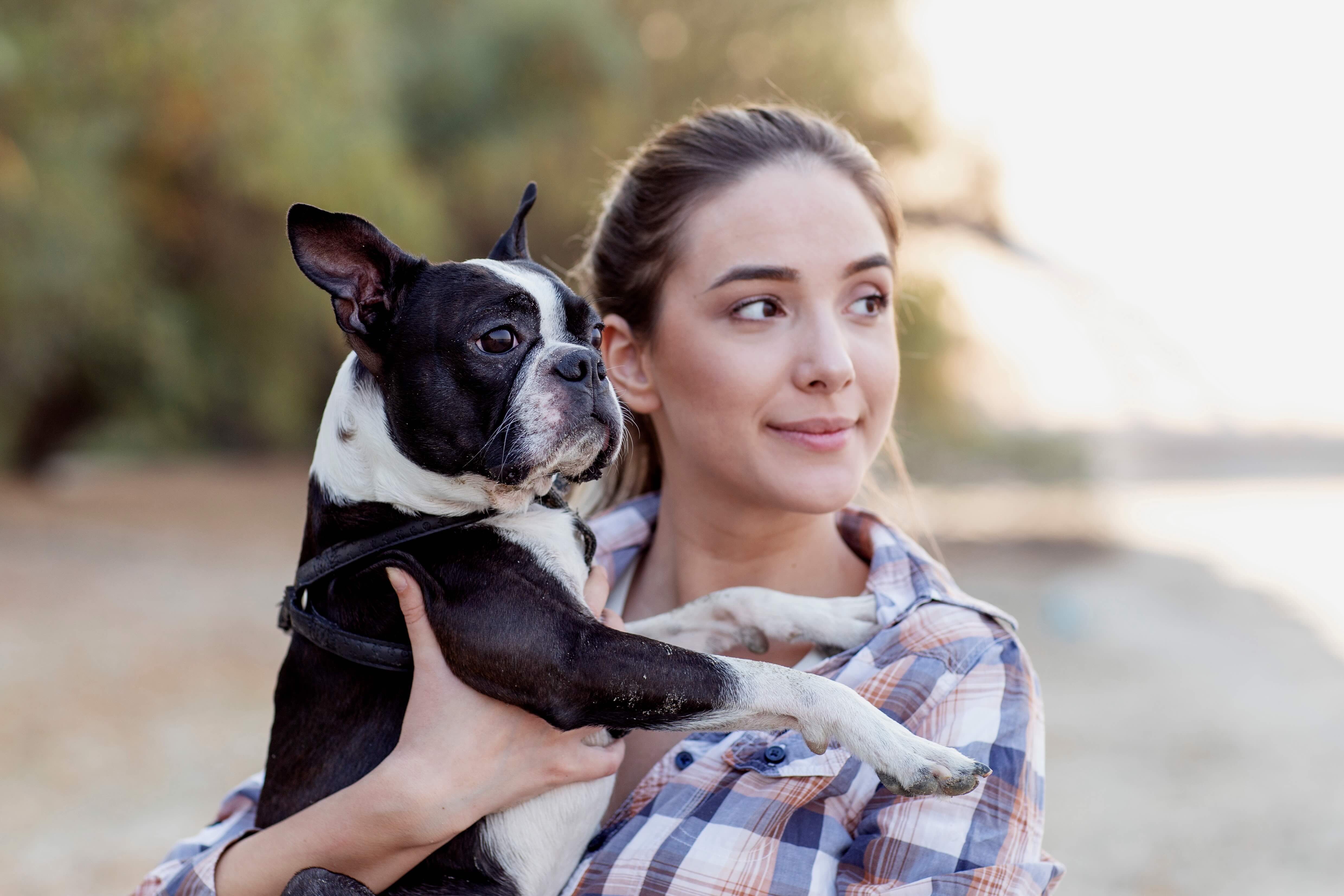 woman holding a black and white boston terrier, both looking to the side