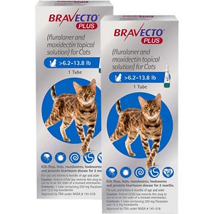 Bravecto Plus局部解决方案为猫，>6.2-13.8磅
