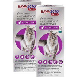 Bravecto Plus猫用局部解决方案，>13.8-27.5磅