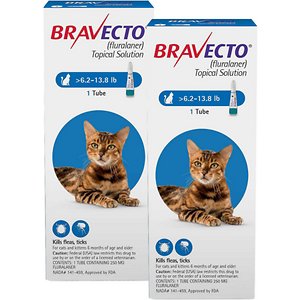 Bravecto猫用局部解决方案，6.2-13.8磅