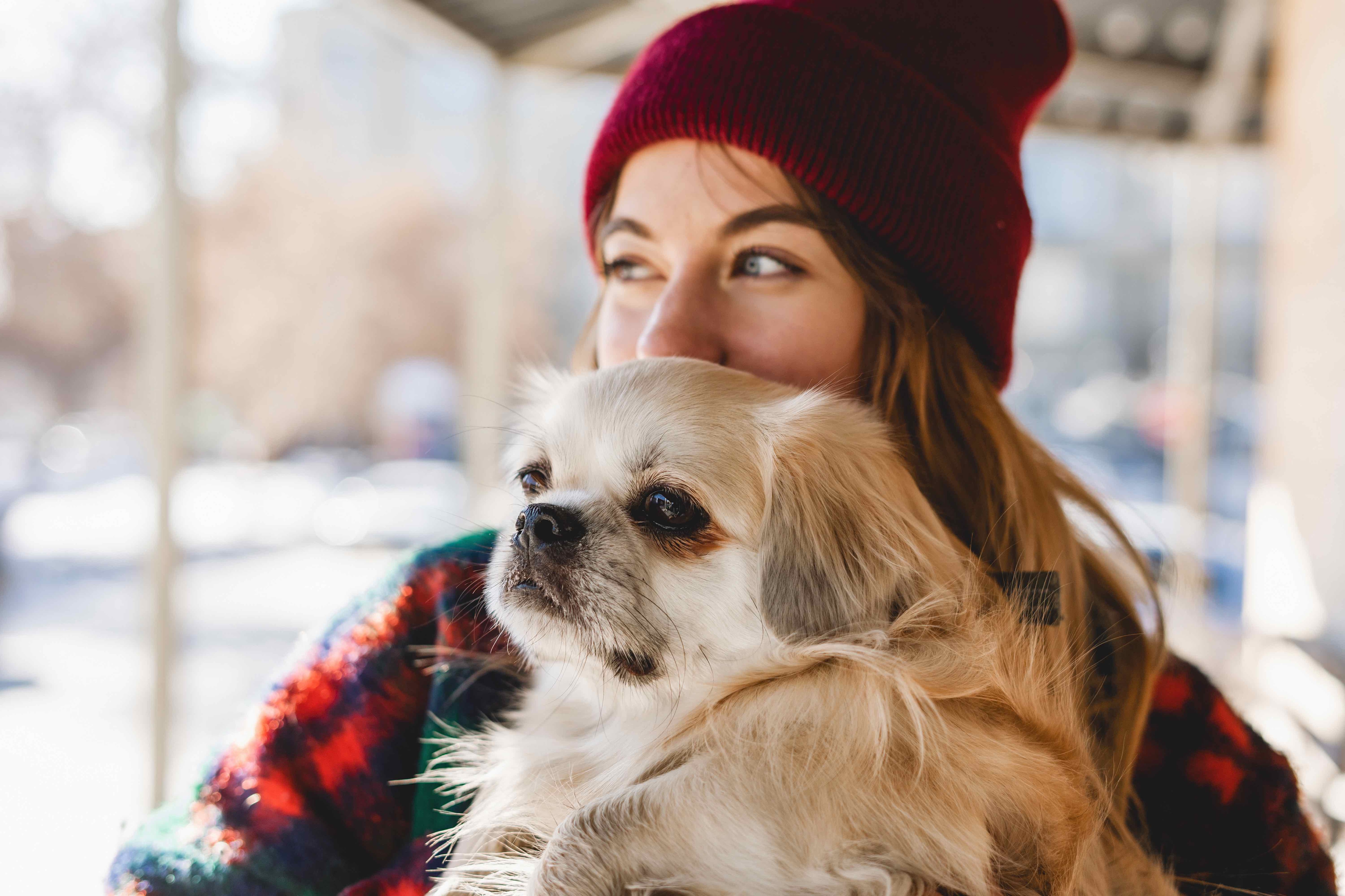 woman holding a cream-colored tibetan spaniel dog