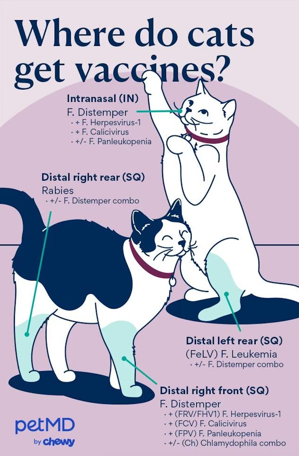 A chart of where cats get vaccinated.