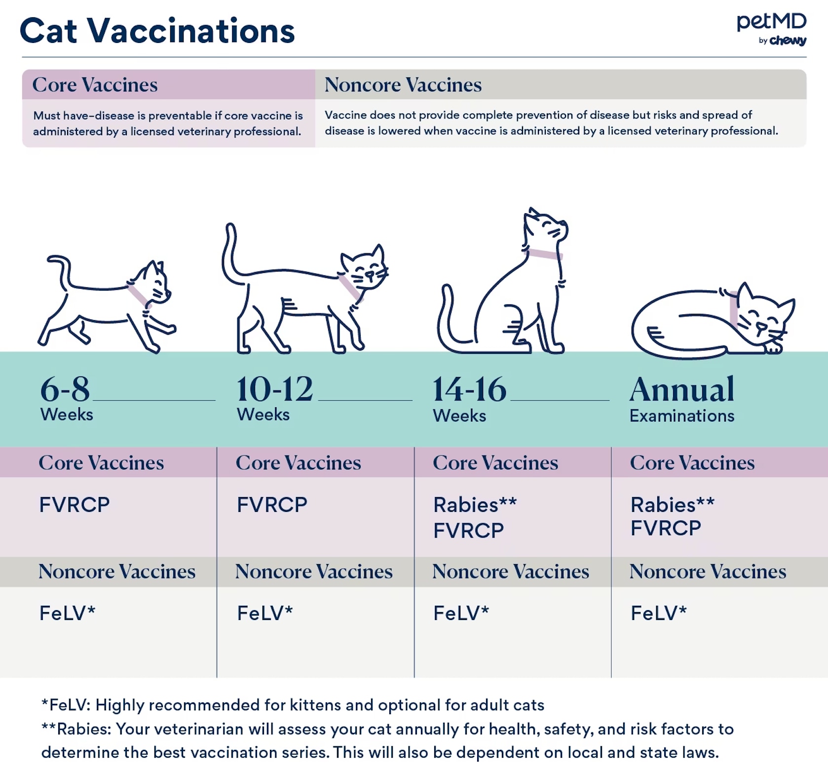 A chart of cat vaccines.