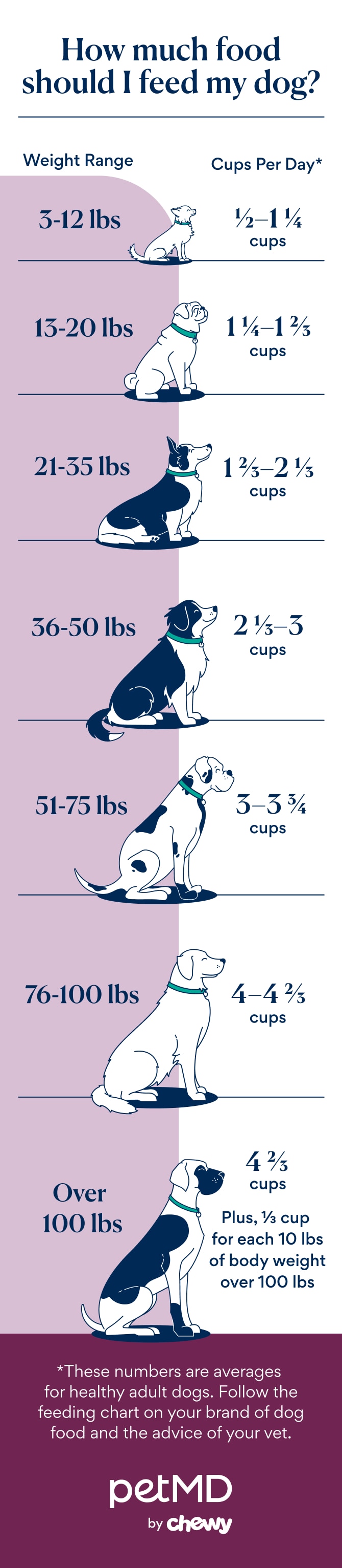 How to Feed Dogs With Special Dietary Needs: Expert Tips & Tricks