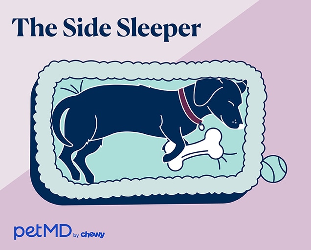 illustration of a dog sleeping on their side