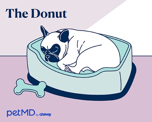 illustration of a dog sleeping curled into a donut shape