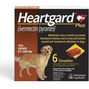 HeartGard Plus Chew for Dogs (51-100 lbs.)