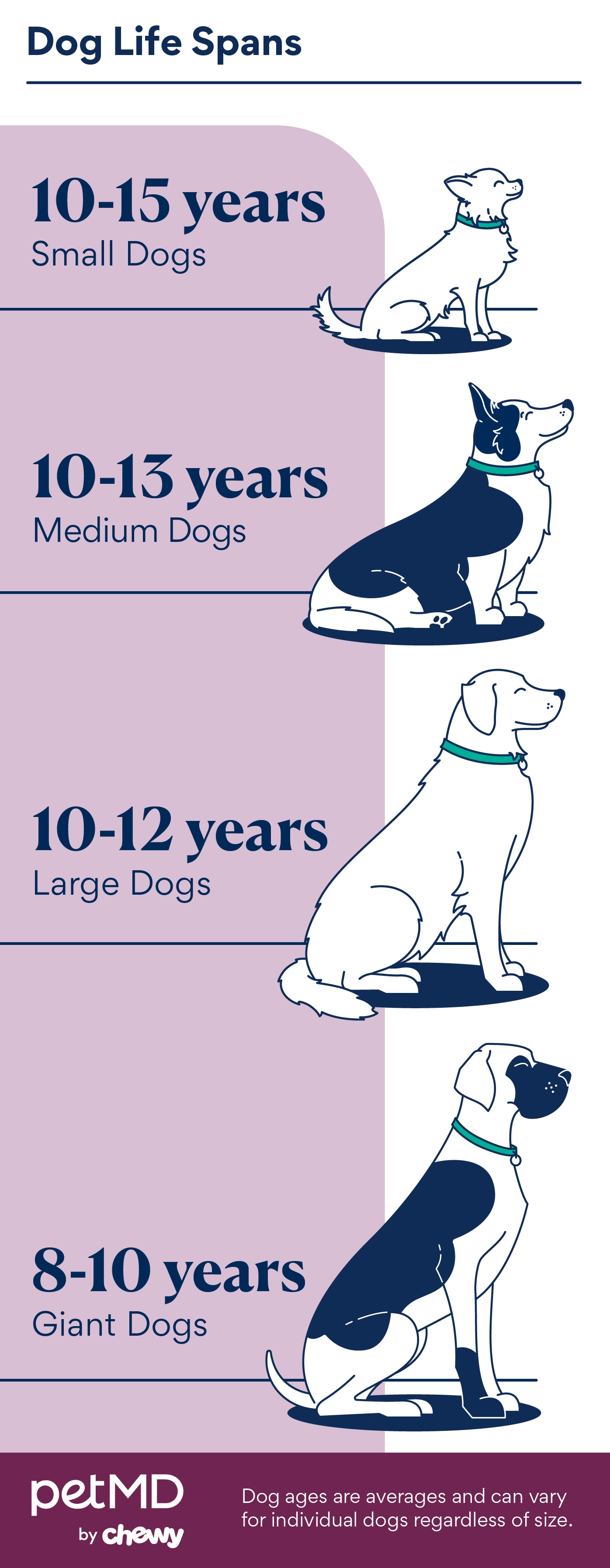 illustration of dog lifespans