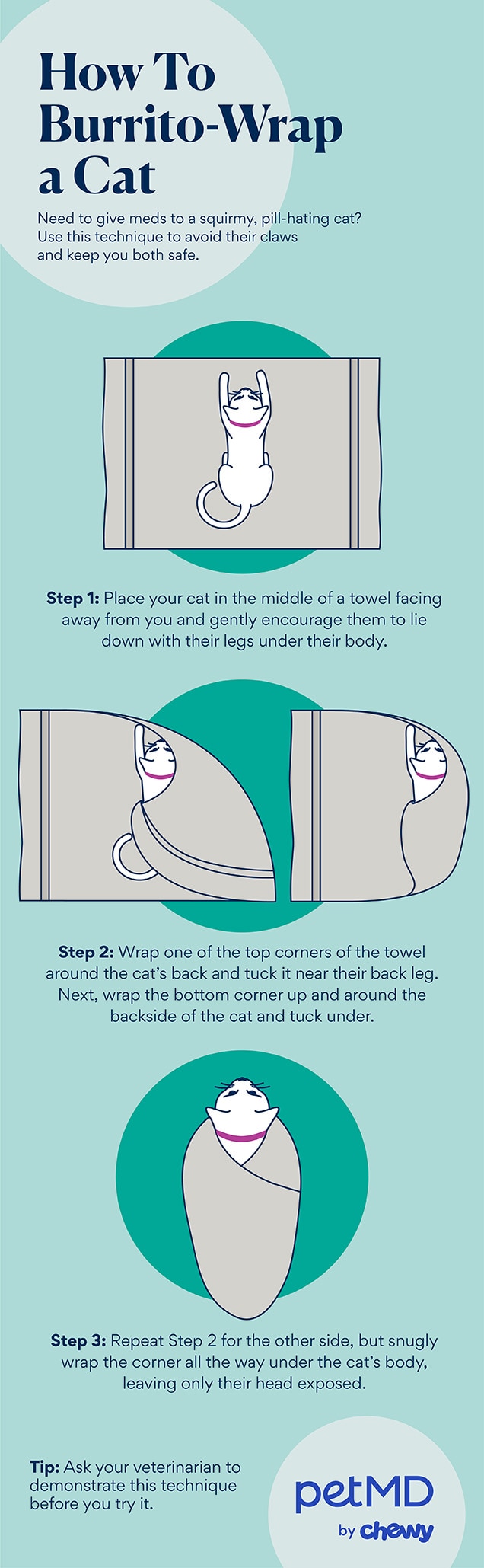 How to Burrito Cat Infographic PETMD