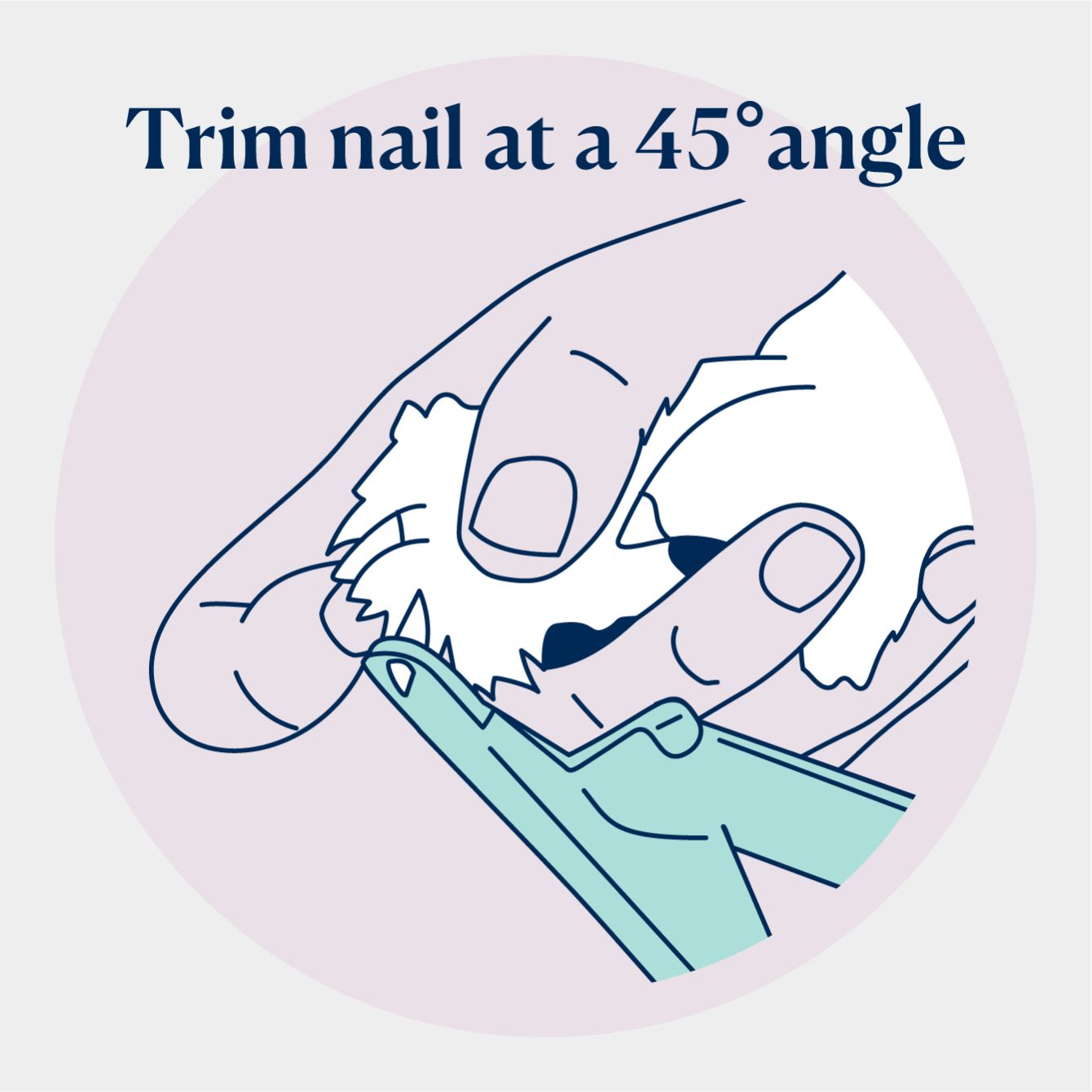 how to trim dog nails: cut at 45 degree angle