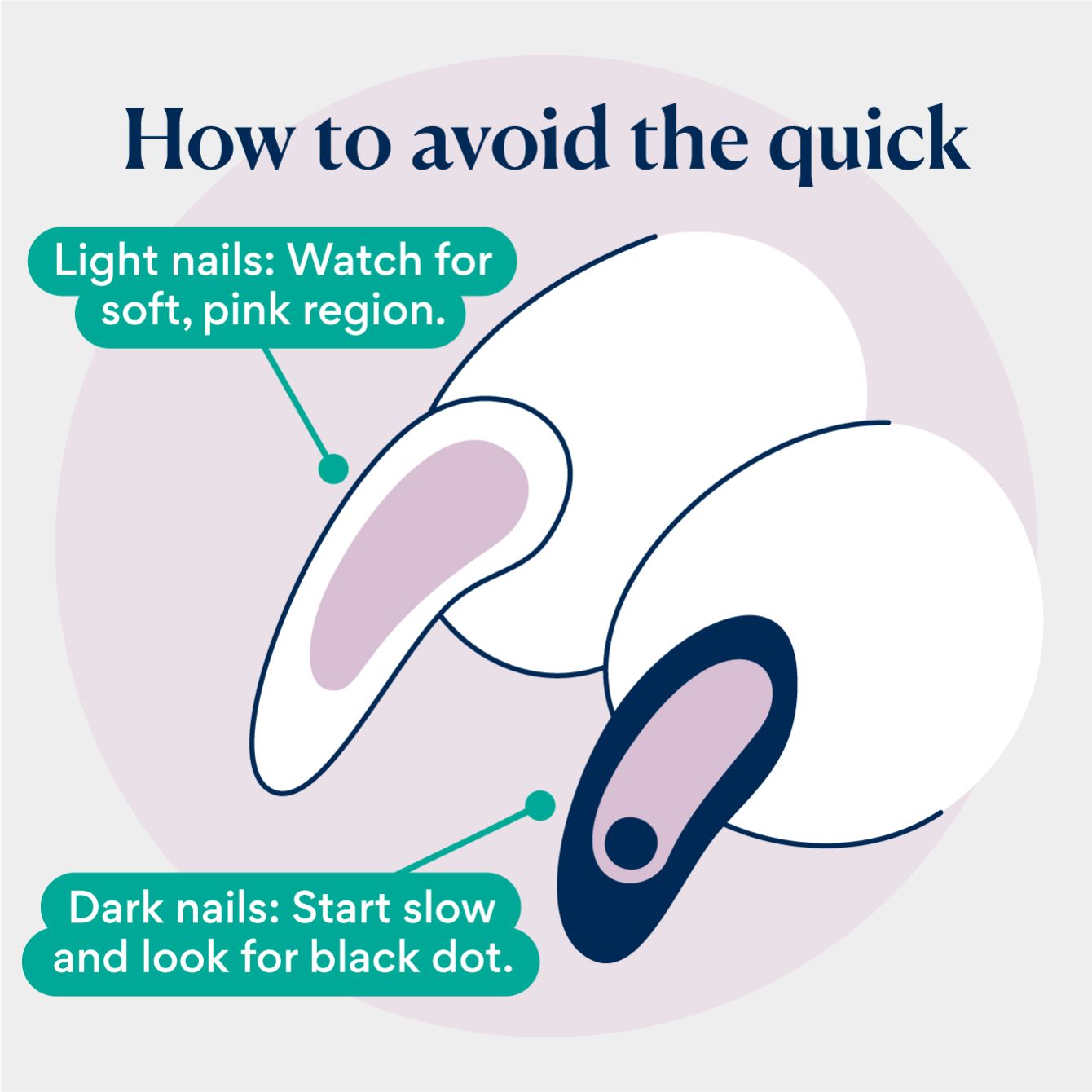 how to trim dog nails: how to avoid the quick