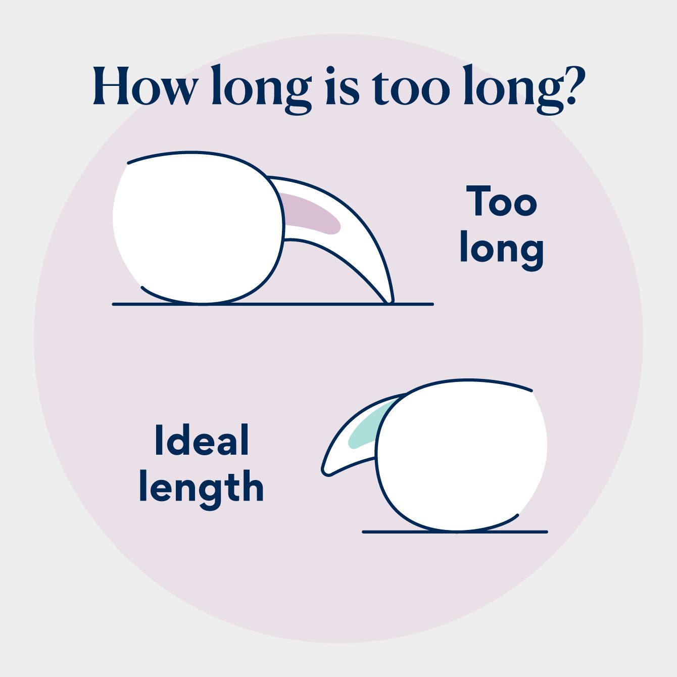 how to trim dog nails: how long is too long