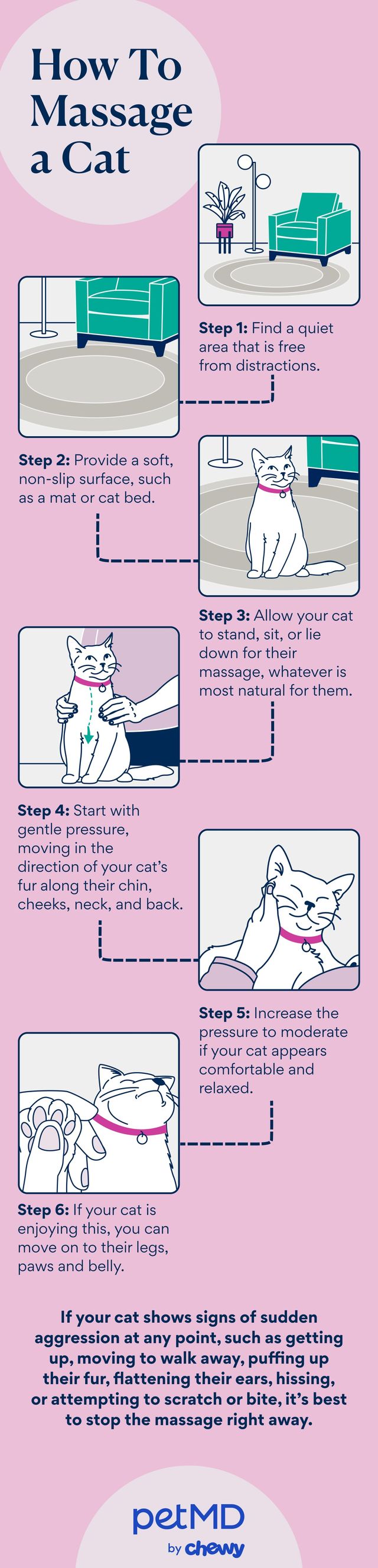 how to massage your cat at home