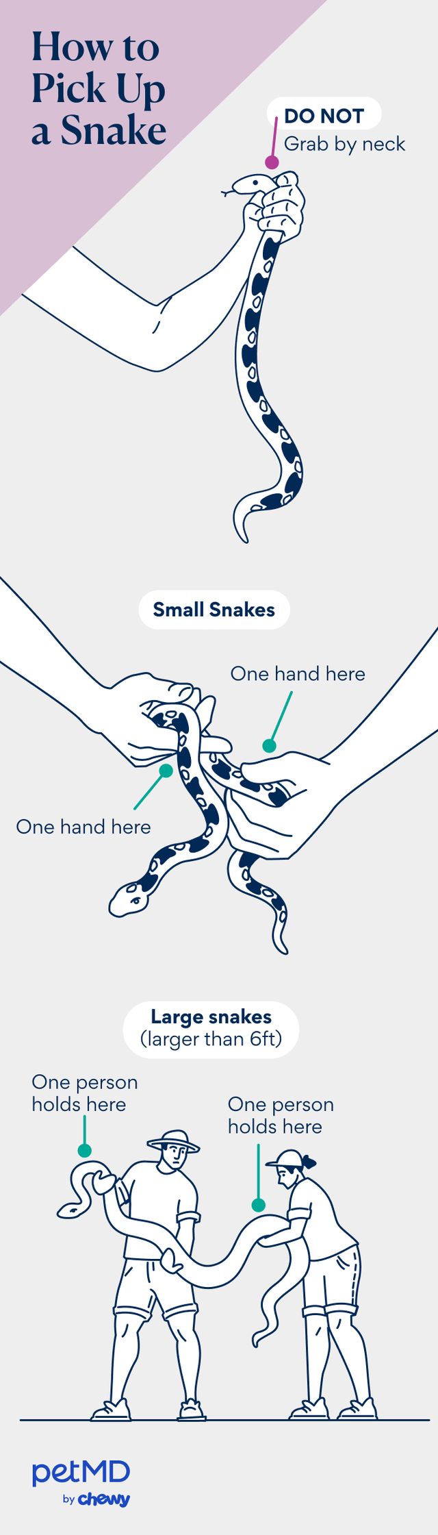 How To Pick Up a Snake