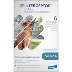 Interceptor© Plus Chew для собак (50,1–100 фунтов)