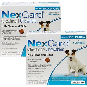 NexGard Chew for Dogs, 10.1-24 lbs